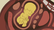 Seymour as an unborn child