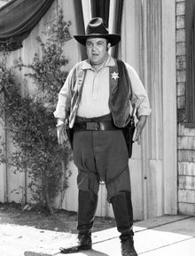 Allan Sherman.jpeg