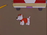 Martin's dog Flipsy