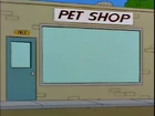Petshop.jpg (37 KB) Pet Shop