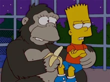 Toot-toot banana bart.jpg (102 kB) qualé macaca