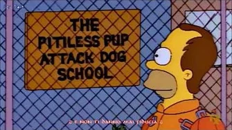 I_Simpson_Dolly_Parton_Homer_-_9_to_5_(Sub_Ita)