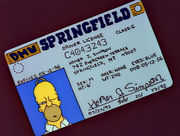 Homer Driver's License