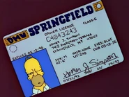 Homer's fake driver's license
