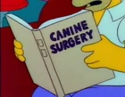 Canine Surgery