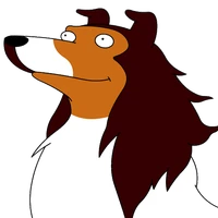 Laddie il cane della polizia È un collie E trova cose nascoste