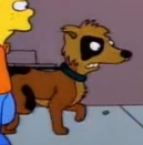 Shelbyville Milhouse's dog (first and only appearance)