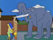 Bart Gets an Elephant 38