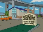 Springfield Animal Shelter