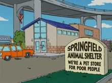 Abrigo: loja de pets para pobres