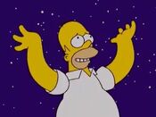 Homer night 