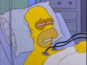 Hospitalhomer