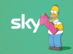 Sky1 Artwork