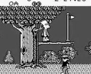 Bart playing capture the flag.