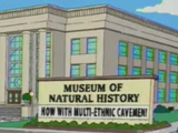 Springfield Museum of Natural History