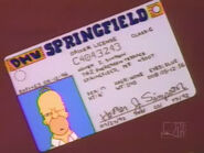 Prawo jazdy Homera.jpg (16 KB) Prawo jazdy Homera Simpsona