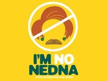 I'M NO NEDNA