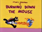 Burning Down the Mouse