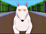 Dog (The Lastest Gun in the West)