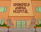 Springfield Animal Hospital