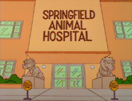 Springfield Animal Hospital