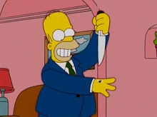 Homer VS Mosca - double K.O.