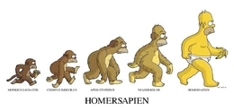 Homersapien 17x21B