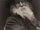 Walt Whitman