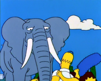 Elefante de estimação do Bart