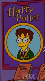 Harry Potter (series)