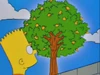 Lemon of Troy 72