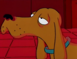 Dog (SNPP)