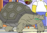 Slow Leonard