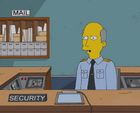 Springfield Nuclear Power Plant Security Guard