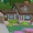 Bouvier House