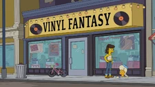 Vinyl Fantasy