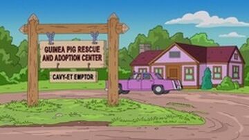 Guinea pig rescue centers near me 2025