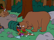 Urso virando lixo