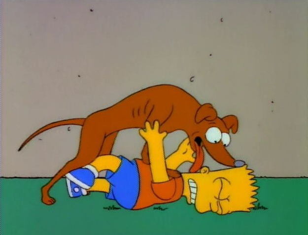 Santa's Little Helper | Simpsons Wiki | Fandom