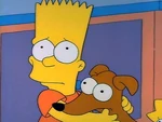 Dog5