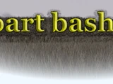 Bart Bash