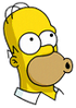 Homer Woohoo Icon