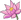Lotus Flowers