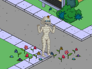 Womenthet Brightening Up Springfield.