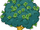 Money Tree