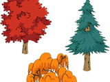 Free Forester Bundle!