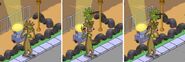 Xylem Activating Plant Sense.