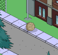 Tumbleweed on a street.