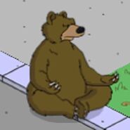 Meditating Bear when tapped.