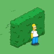 Homer s Hedge The Simpsons: Tapped Out Wiki Fandom